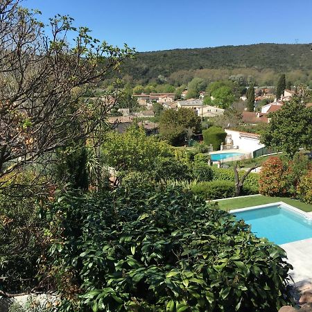 Villa Le Jacaranda Villeneuve-Loubet Esterno foto