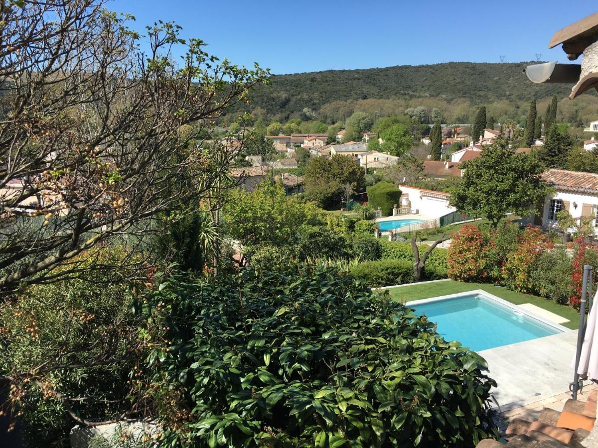 Villa Le Jacaranda Villeneuve-Loubet Esterno foto